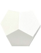 PLA Go&Print BLANCO