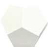 PLA Go&Print BLANCO