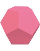 PLA Go&Print ROSA